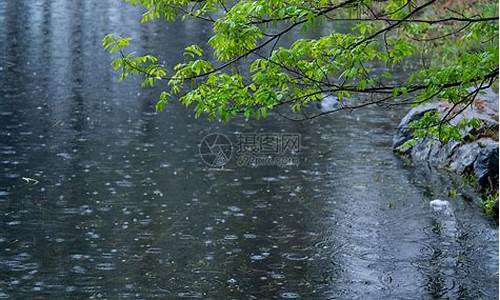 清明时节雨纷纷的纷纷什么意思_清明时节雨纷纷的纷纷什么意思啊