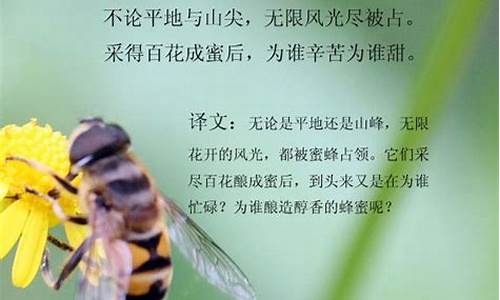 《蜂》古诗罗隐_《蜂》古诗罗隐 意思