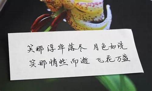 表白情话最暖心一段话_表白情话最暖心一段话200字