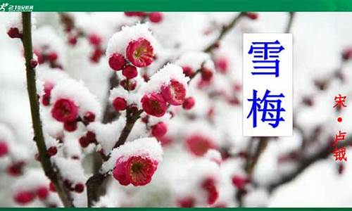 雪梅古诗的意思翻译_雪梅古诗的意思翻译简单一点